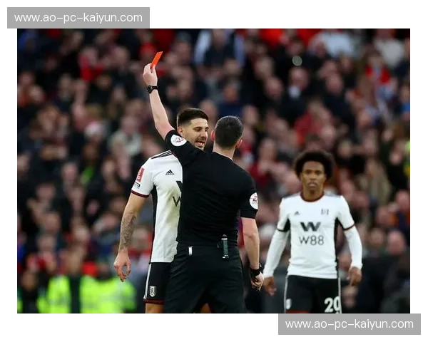 开云体育门将数据：用数据点亮守门艺术